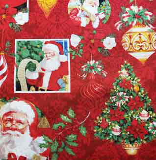 Santa Claus close up